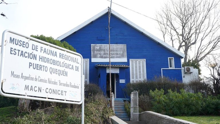 Inauguran sala de tortugas marinas en la estación hidrológica